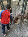 IMG_6799