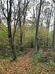 IMG_6839