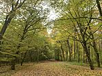 IMG_6843