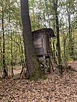IMG_6845