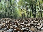 IMG_6848