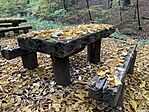 IMG_6862