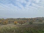 IMG_6881