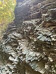 IMG_6885