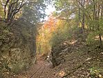 IMG_6887