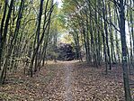 IMG_6899
