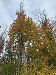 IMG_6913