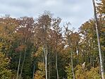 IMG_6916