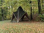 IMG_6941
