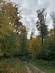 IMG_6947