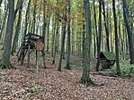 IMG_6952