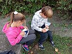 IMG_20241023_164748.jpg
