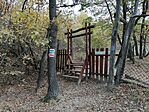IMG_20241026_104132
