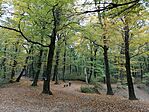IMG_20241026_113948