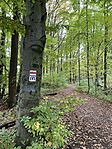 IMG_4151