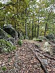 IMG_4154