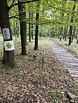 IMG_4160