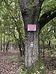 IMG_4164