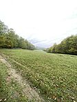 IMG_4312