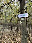 IMG_4321