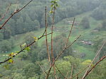 DSC09331