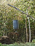 DSC09555