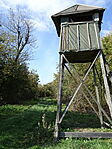 DSC09556