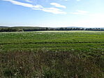 DSC09565