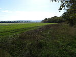 DSC09566