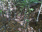 DSC09631
