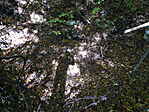 DSC09632