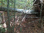 DSC09633