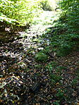 DSC09639