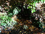 DSC09640