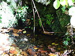 DSC09641