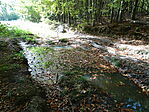 DSC09643