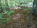DSC09644