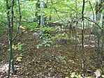 DSC09645