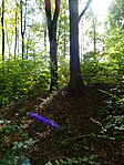 DSC09650