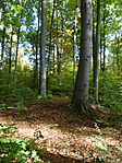 DSC09651