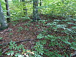 DSC09653