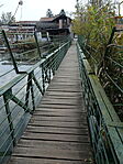 DSC09782