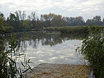 DSC09786