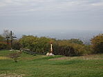 DSC09798