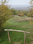 DSC09801