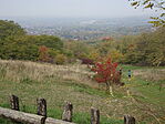 DSC09804