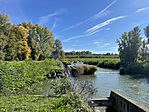 IMG_1594
