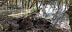 GCLART_20241019_095627
