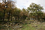 IMG_3138