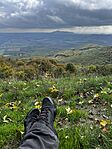 IMG_7042[1]